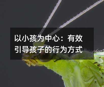 ��С��Ϊ���ģ���Ч�������ӵ���Ϊ��ʽ