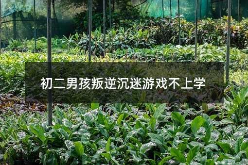 初二男孩叛逆沉迷游戏不上学