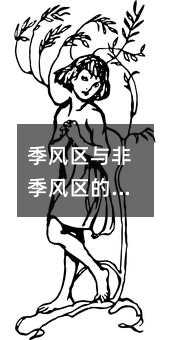 ��������Ǽ������ķֽ��߼����γ�