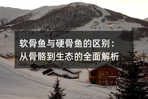 ��������Ӳ��������𣺴ӹ�������̬��ȫ�����