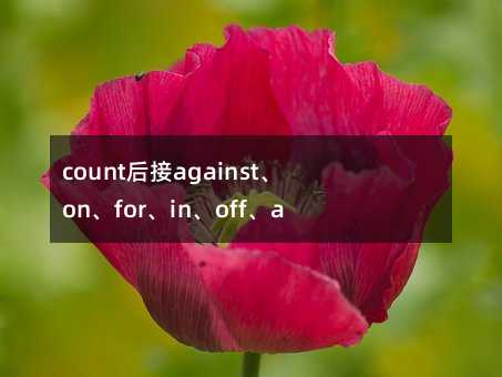 count后接against、on、for、in、off、among 和down短语用法解析