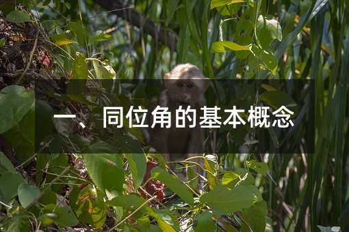 一、同位角的基本概念