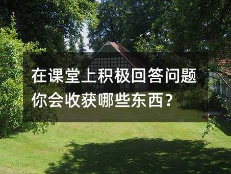 在课堂上积极回答问题你会收获哪些东西?