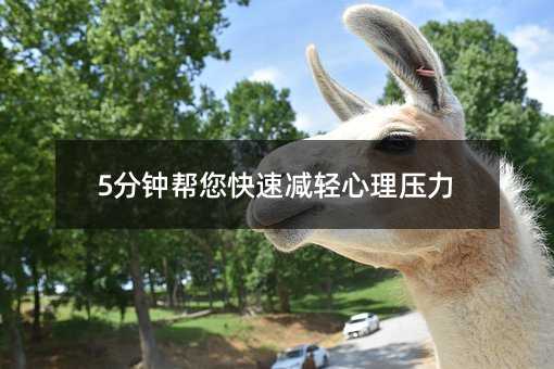 5分钟帮您快速减轻心理压力