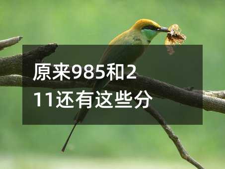 ԭ��985��211������Щ��У����