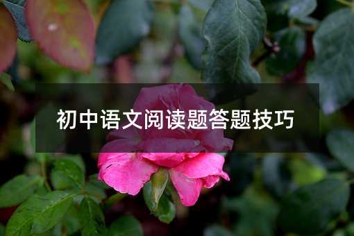初中语文阅读题答题技巧