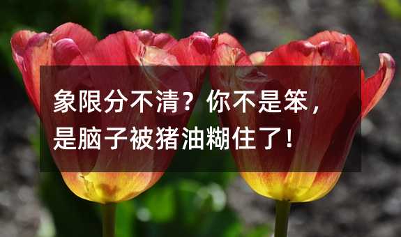 象限分不清?你不是笨,是脑子被猪油糊住了!