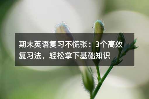 期末英语复习不慌张:3个高效复习法,轻松拿下基础知识