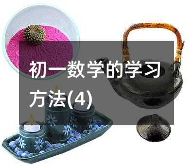 初一数学的学习方法(4)