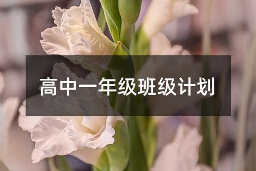 高中一年级班级计划