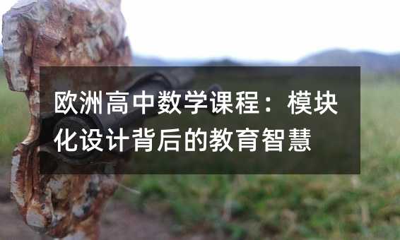 欧洲高中数学课程:模块化设计背后的教育智慧