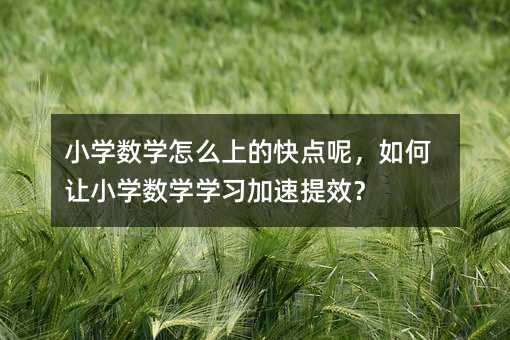 Сѧ��ѧ��ô�ϵĿ���أ������Сѧ��ѧѧϰ������Ч��