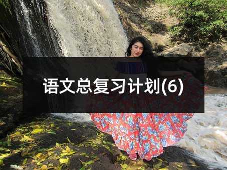 语文总复习计划(6)