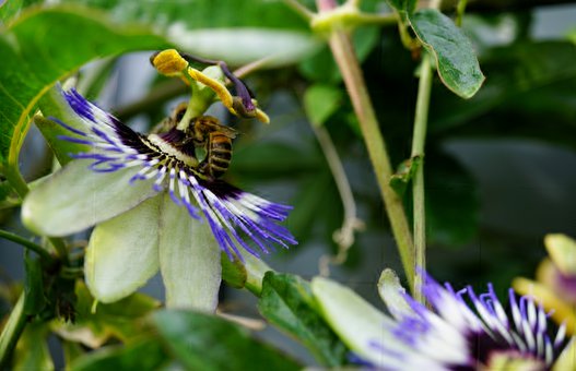 ����԰��һƪ