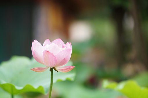 ���������������ѧ����Ӧ����ôѧ��