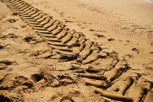 ������ѧ��ѧ����