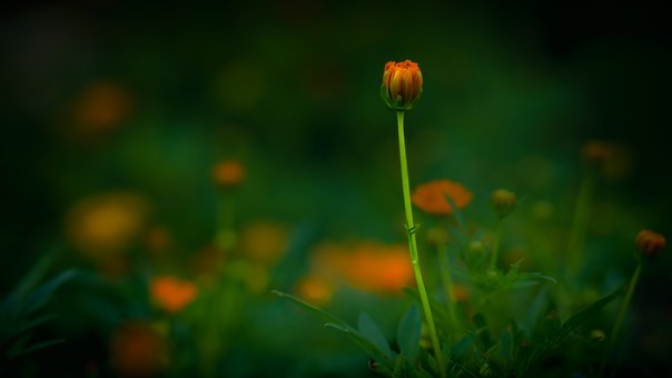 �����ѧ�νӣ���ֻ�����������⼸�������˲�����ġ�Ӯ��