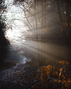 初中生逆反心理:理解、引导与帮助