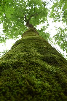 һ�꼶�����ѵ��ܽ�ƪ