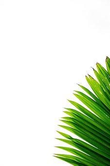 Сѧ���Ŀκ�˼ƪ