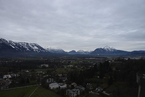 在这场名为成长的博弈里,我们都需要一点“钝感力”