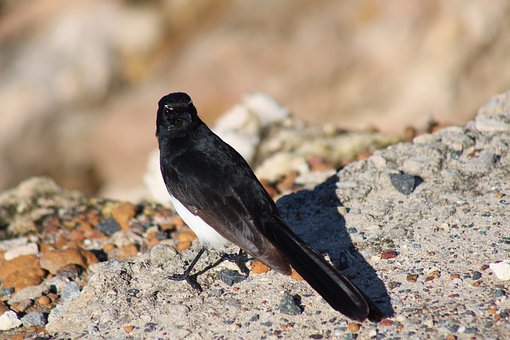 大连教育局研讨会提出中小学要普及足球