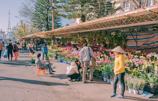 教育的温柔力量:重寻小学数学课堂的灵魂