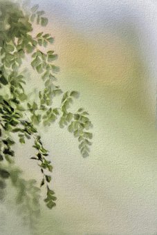 ����ʮ��������רҵ�򱻳���