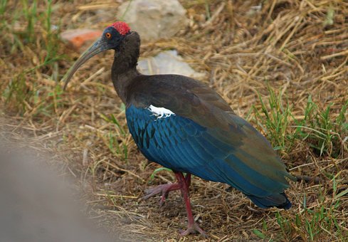 ������һ���ʱ����η������Ч��