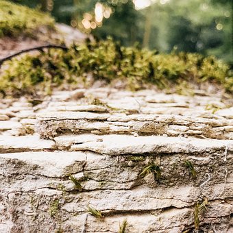 Ӣ���������ࣺ�ӵ���Щ���ڵ�PPT�����Ǹ������ס�����ĵ���